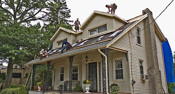 Best New Roof Installation  in Livingston, TN