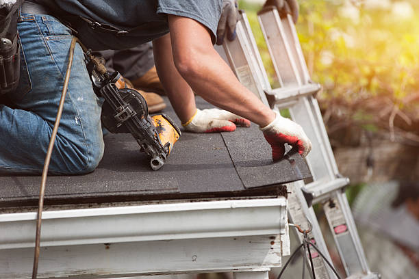 Best Shingle Roofing Installation  in Livingston, TN