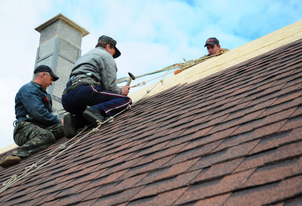 Best Tile Roofing Contractor  in Livingston, TN